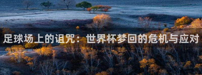世界杯2026赛程时间表格:足球场上的诅咒:世界杯梦回的危机与应对