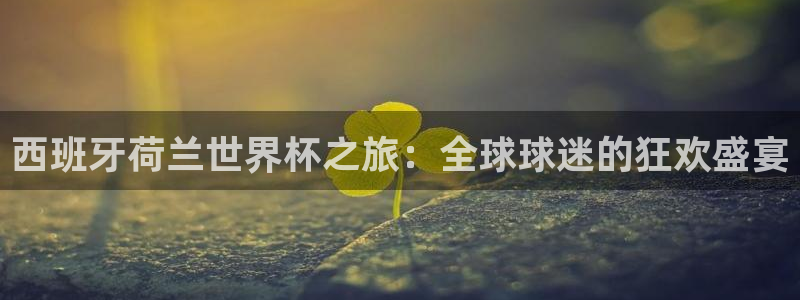 2026世预赛赛程:西班牙荷兰世界杯之旅:全球球迷的狂欢盛宴