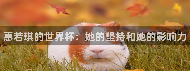 2026年世界杯对阵图:惠若琪的世界杯:她的坚持和她的影响力