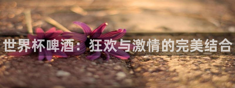 2026年世界杯:世界杯啤酒:狂欢与激情的完美结合