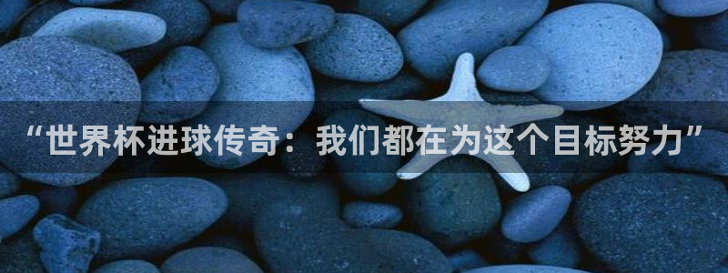 世界杯亚洲区预选赛积分榜:“世界杯进球传奇:我们都在为这个目标努力”