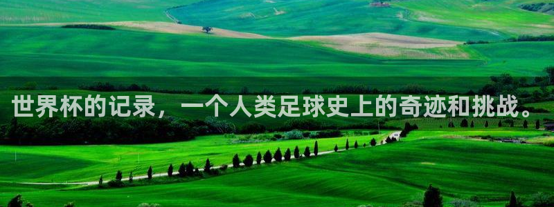 世预赛直播:世界杯的记录,一个人类足球史上的奇迹和挑战。