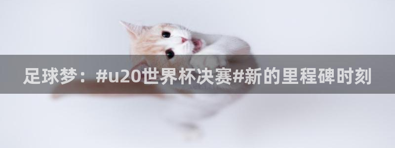 世界杯欧洲预选赛赛程:足球梦:#u20世界杯决赛#新的里程碑时刻